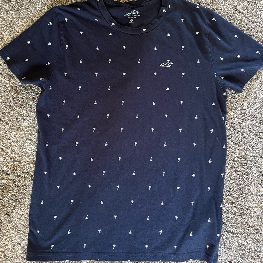 Hollister mens tee shirt size small
